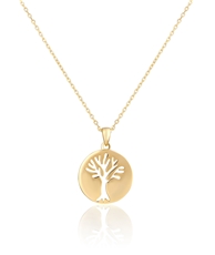 Dámský stříbrný pozlacený náhrdelník strom života STNAH157F