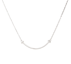 Dámský stříbrný náhrdelník STNAH208F 